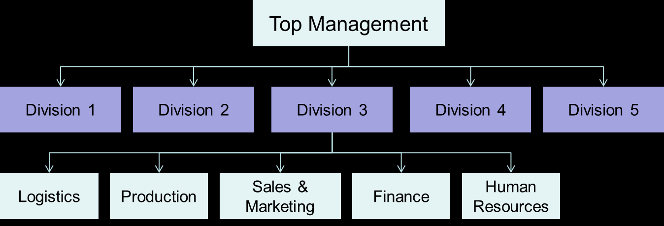 Divisional organizational structure diagram