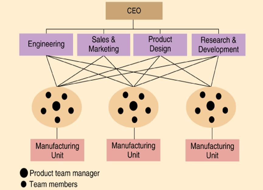 Matrix organizational structure diagram